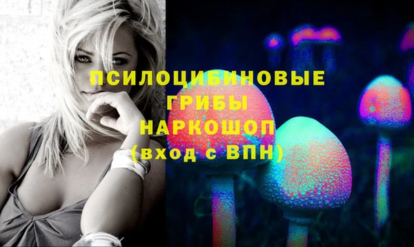 СК Надым