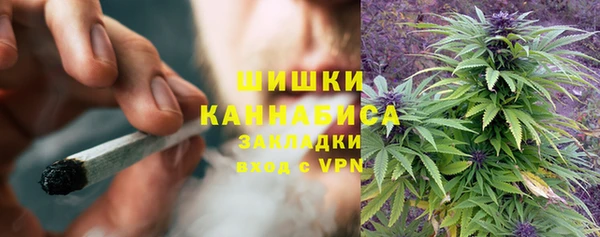 СК Надым