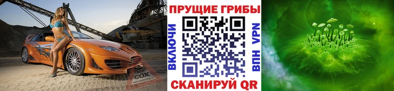 продажа наркотиков Навашино Галлюциногенные грибы Cubensis